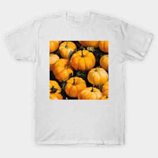 Pumpkin Pattern 16 T-Shirt